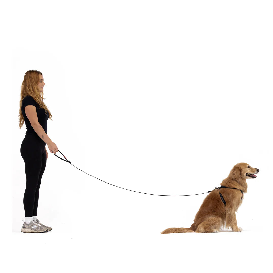 Essential Dog Leash (Adjustable) - Peticular