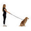Essential Dog Leash (Adjustable) - Peticular