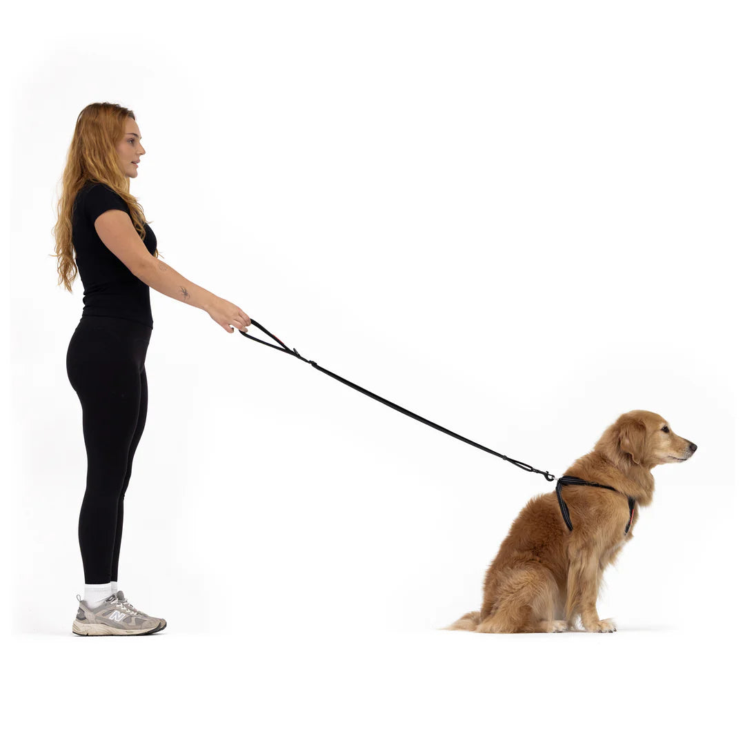 Essential Dog Leash (Adjustable) - Peticular