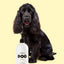 DOG Sensitive Leave In Conditioner