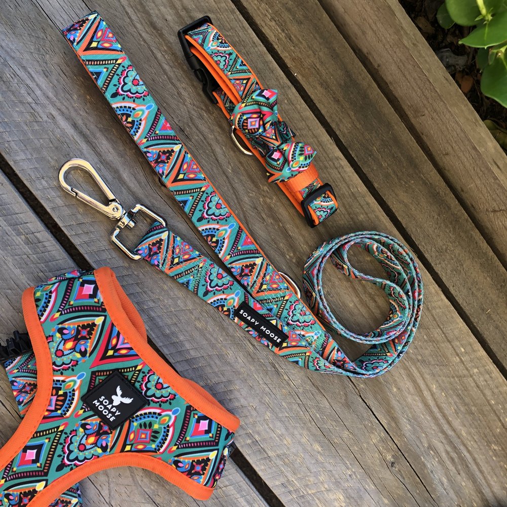 Crabbies Dog Collar & Bow Tie