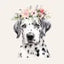 Soul Dog Family | Nervous Fear Flower Essence Blend Drops