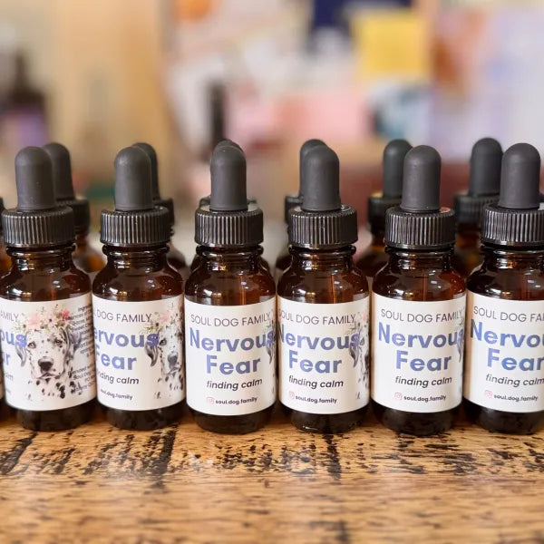 Soul Dog Family | Nervous Fear Flower Essence Blend Drops