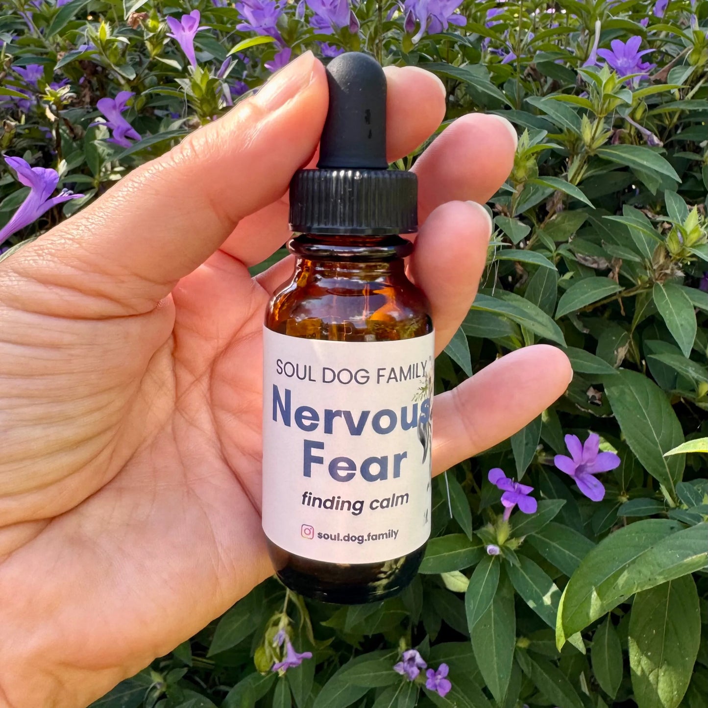 Soul Dog Family | Nervous Fear Flower Essence Blend Drops