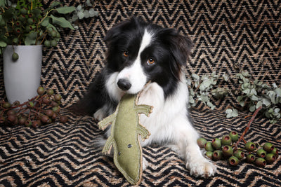 Outback Animal Toy | Corey The Croc Jute Chew Toy