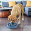Fun Feeder Slo-Bowl | Blue Notch