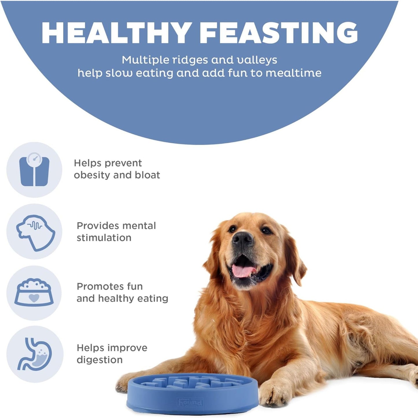 Fun Feeder Slo-Bowl | Blue Notch