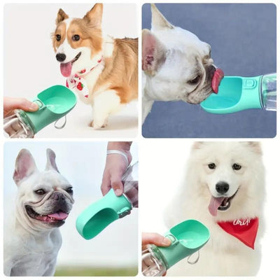 Dog Water Bottle | Green