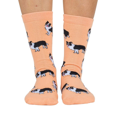 Dog Breed Socks | Border Collie