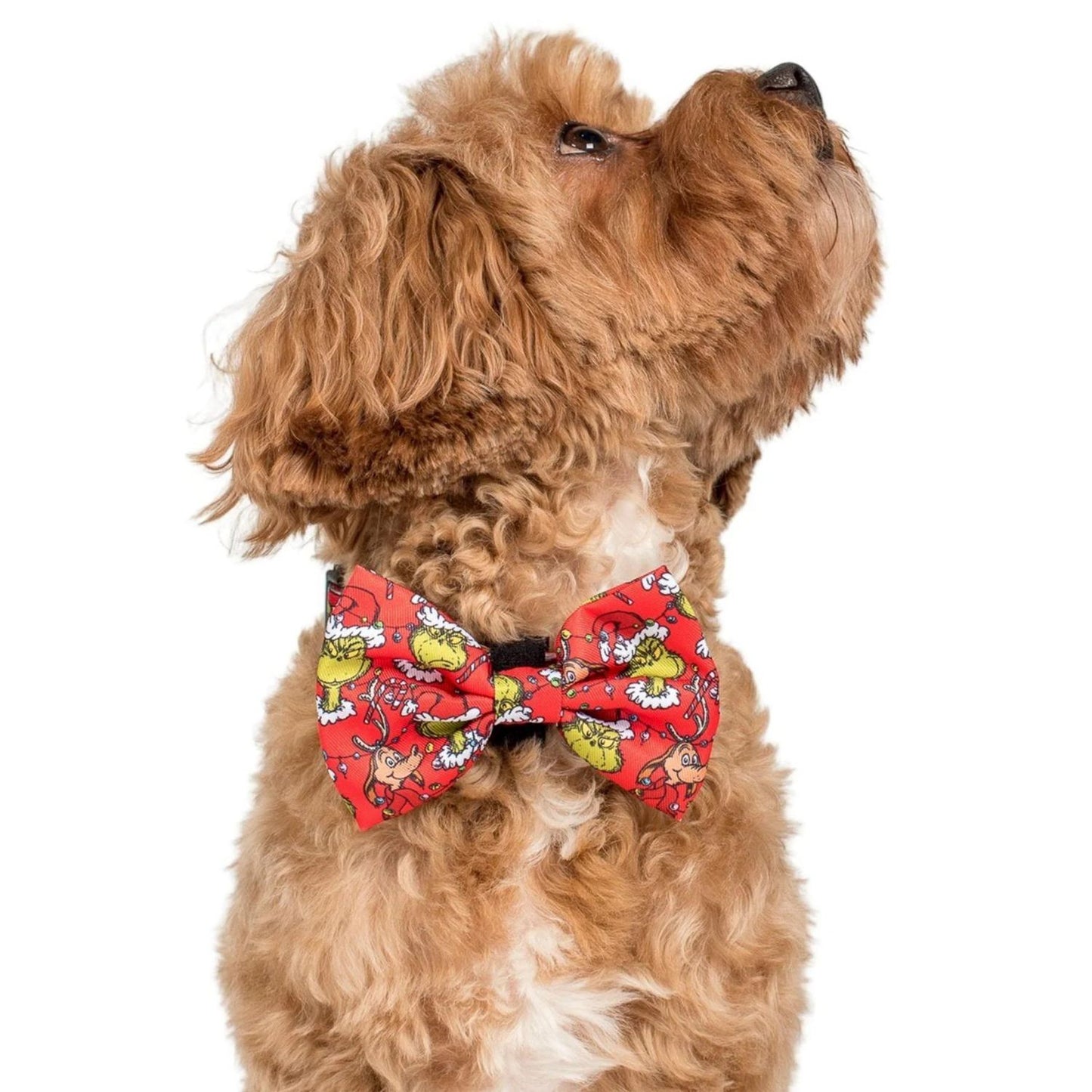 Dr. Seuss' The Grinch | Dog Bow Tie