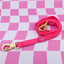 Dragonfruit Multifunction Waterproof Leash