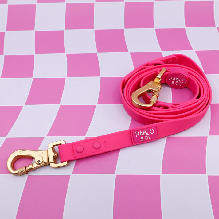 Dragonfruit Multifunction Waterproof Leash
