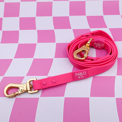 Dragonfruit Multifunction Waterproof Leash