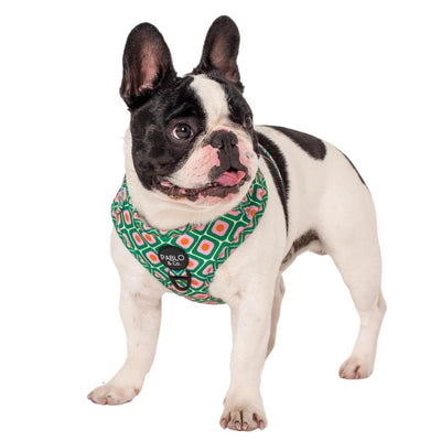 70's Style | Adjustable Dog Harness