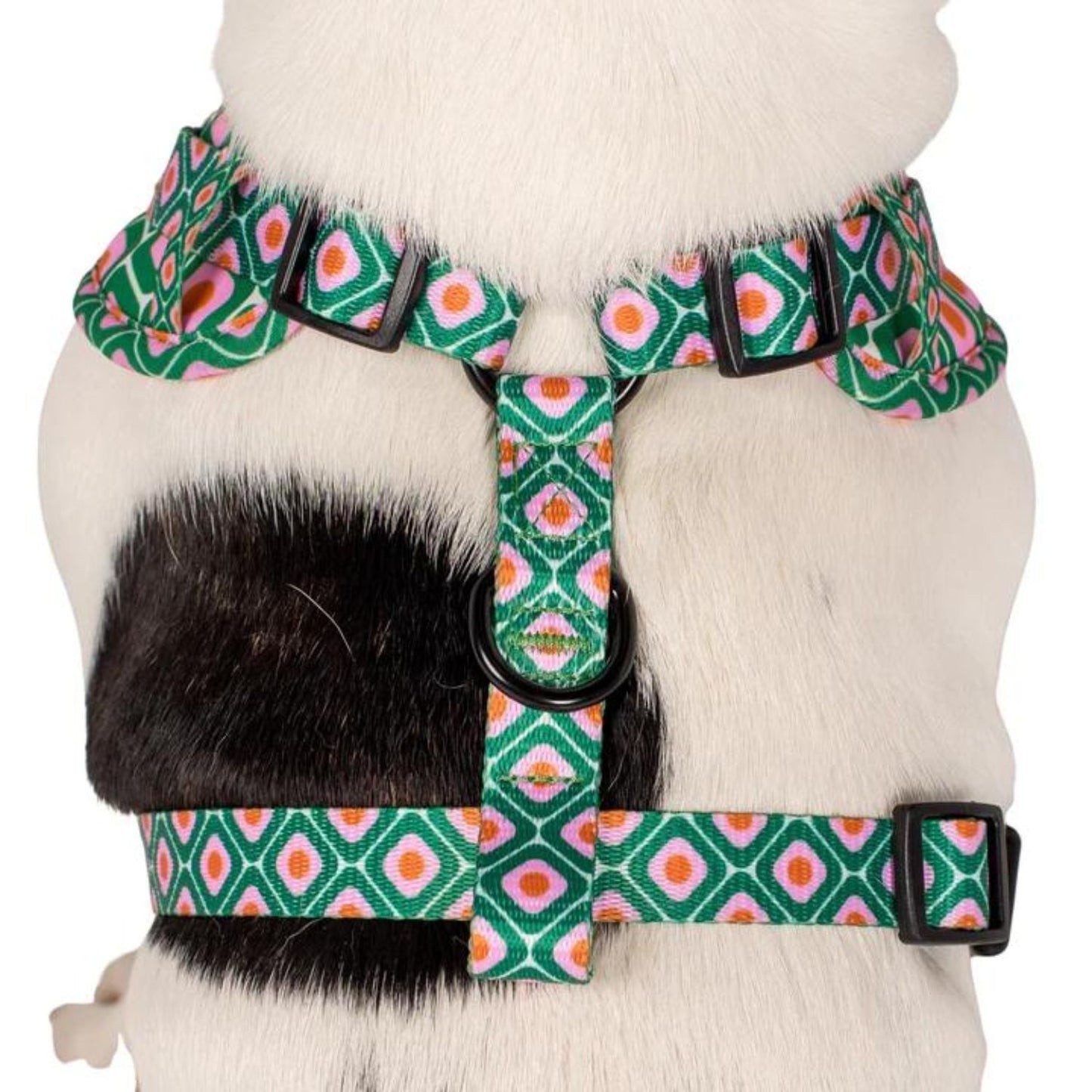 70's Style | Adjustable Dog Harness