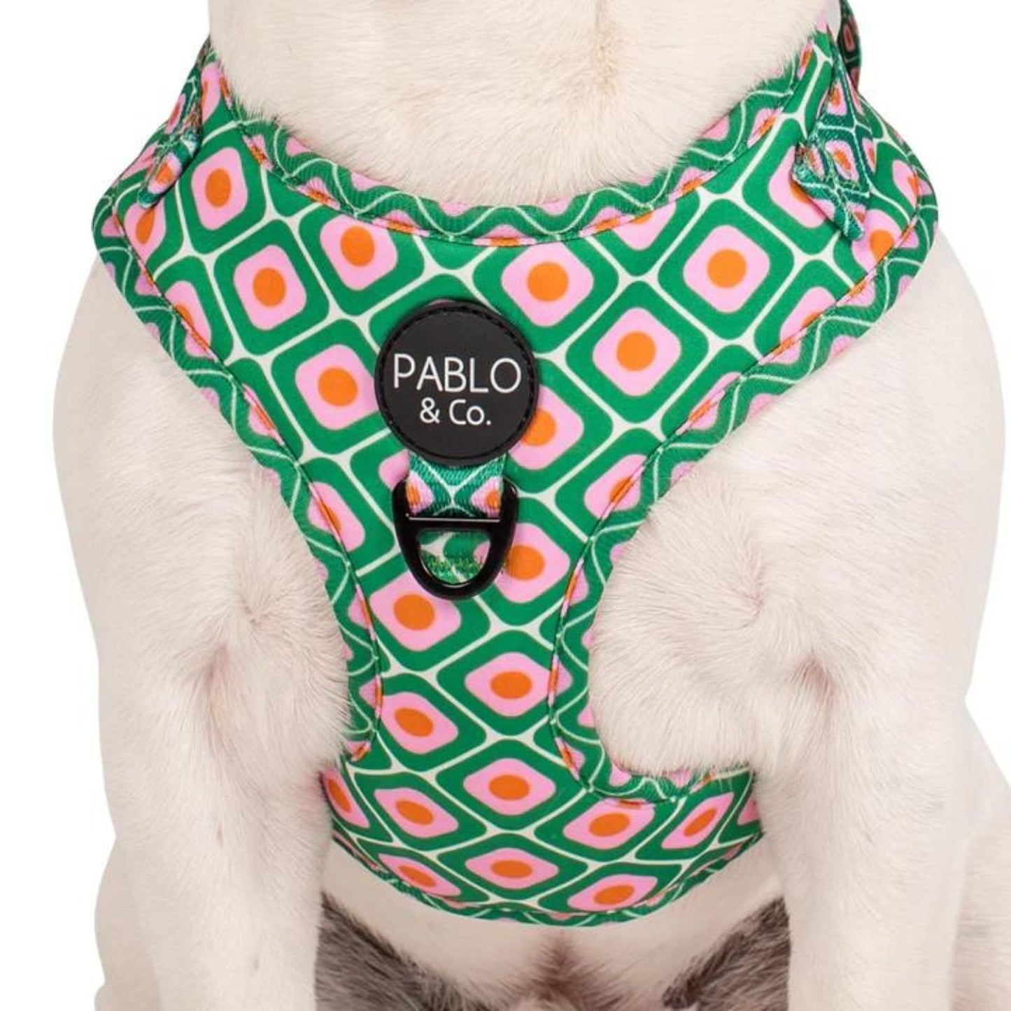 70's Style | Adjustable Dog Harness