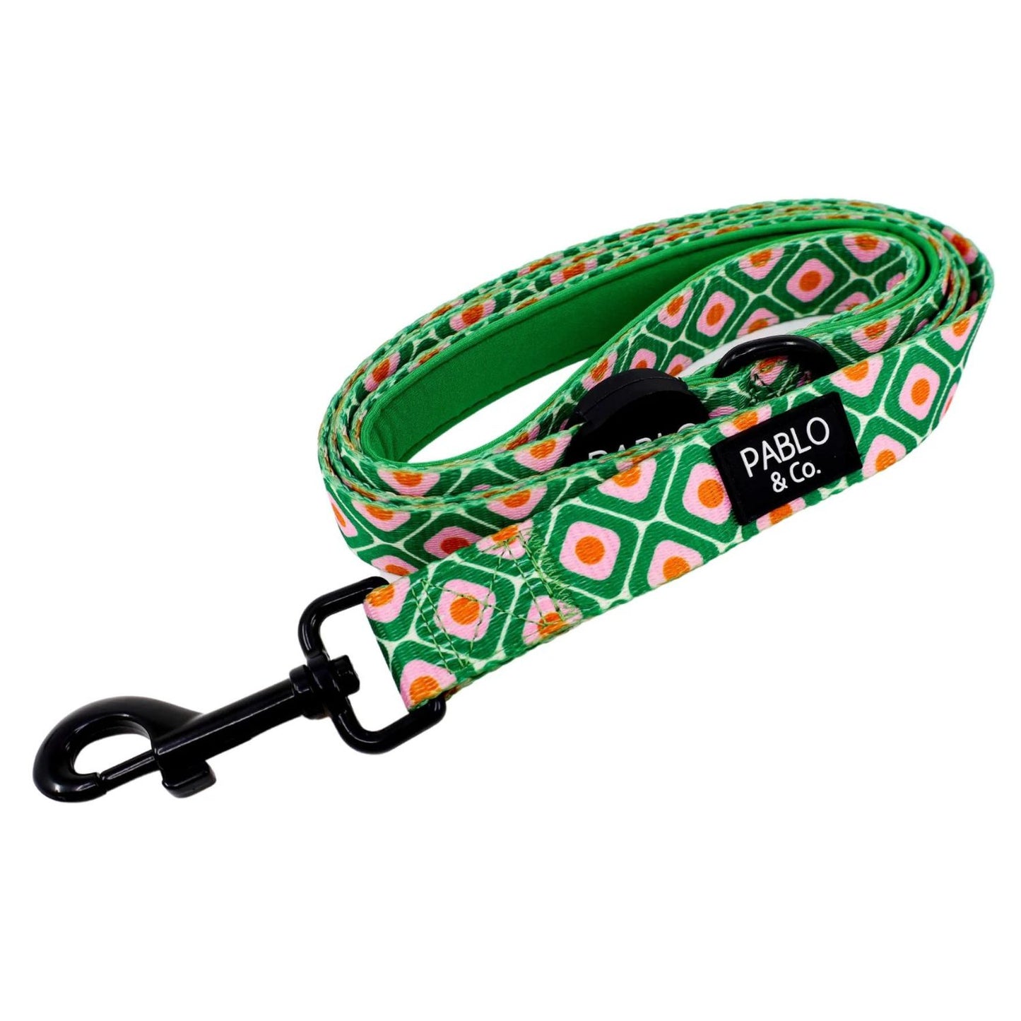 70's Style Dog Leash