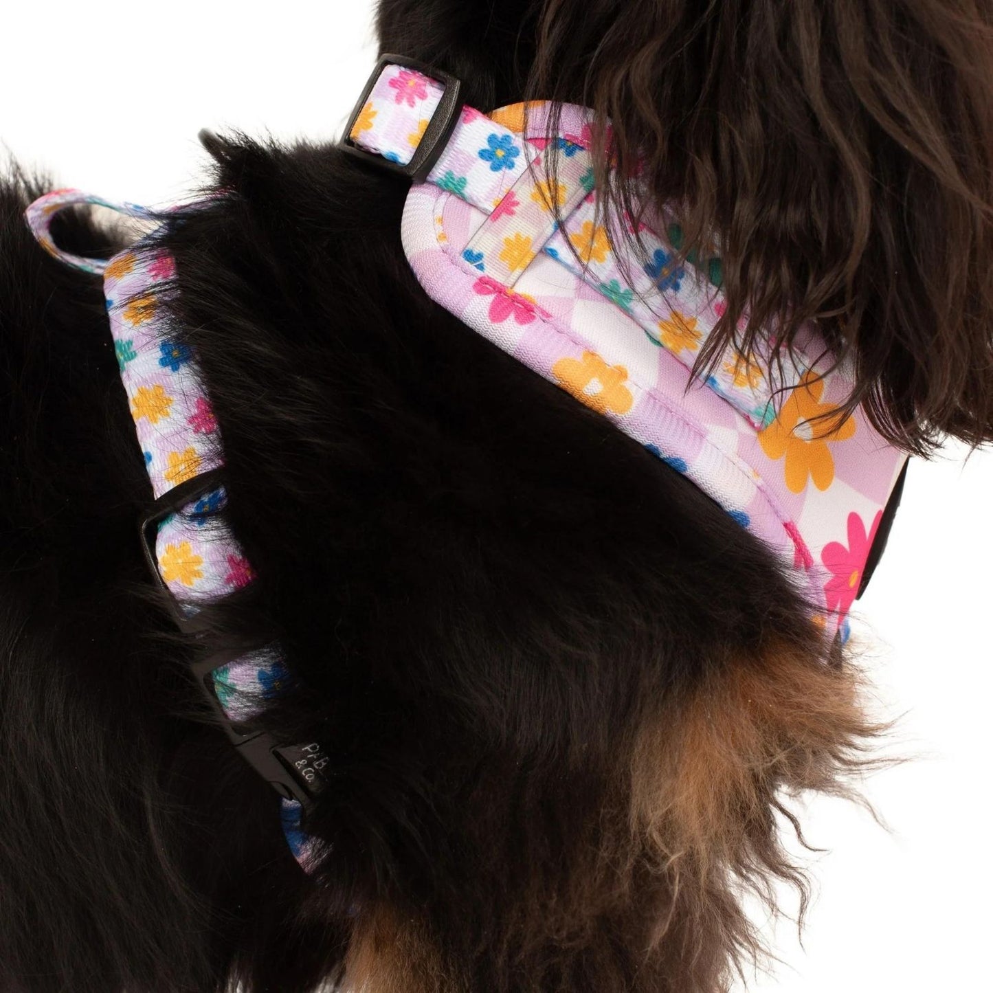 Delightful Daisies | Adjustable Dog Harness