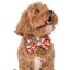 ELF: OMG! SANTA! | Dog Bow Tie