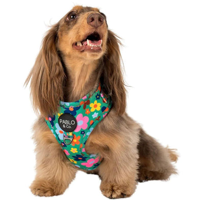 Funky Flowers | Adjustable Dog Harness