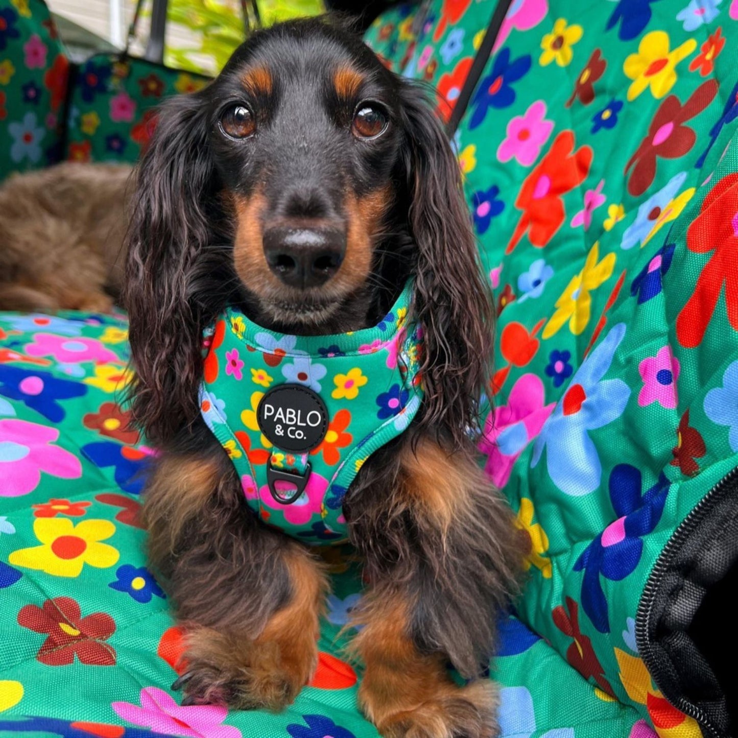 Funky Flowers | Adjustable Dog Harness