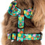 Funky Flowers | Adjustable Dog Harness