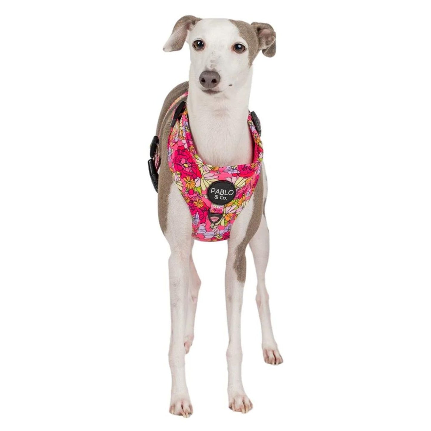 In Bloom | Adjustable Dog Harness