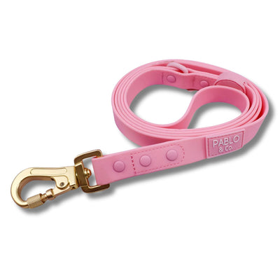 Bubblegum Waterproof Leash