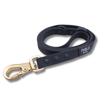 Charcoal Waterproof Leash