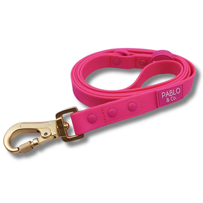 Dragonfruit Waterproof Leash