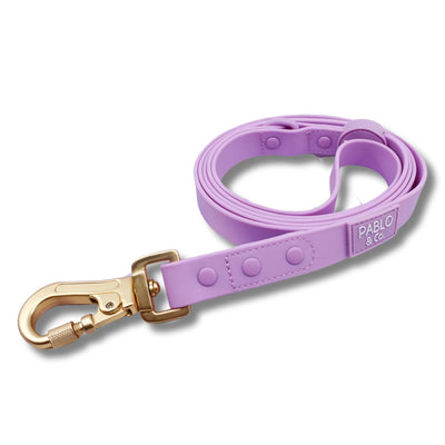 Lavender Waterproof Leash