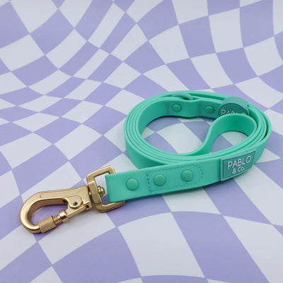 Peppermint Waterproof Leash