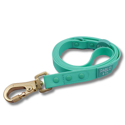 Peppermint Waterproof Leash