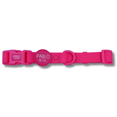 Dragonfruit Waterproof Collar