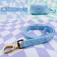 Sea Salt Waterproof Leash