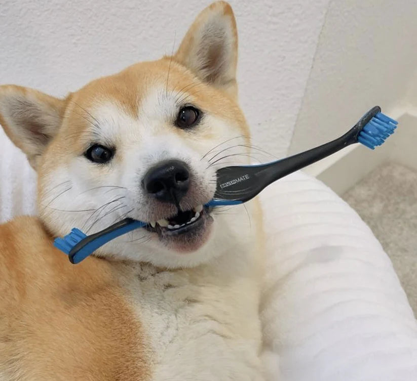 Paw Ready BrushMate Pet Toothbrush - Peticular
