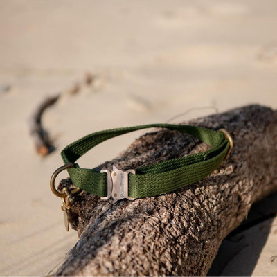 Tide Dog Collar | Eucalypt