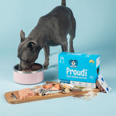 Proudi Frozen Raw Dog Food | Ocean Combo & Turkey