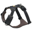 Front Range Dog Harness | Basalt Grey