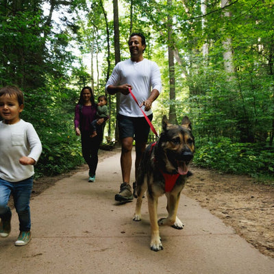 Front Range Dog Harness | Red Canyon