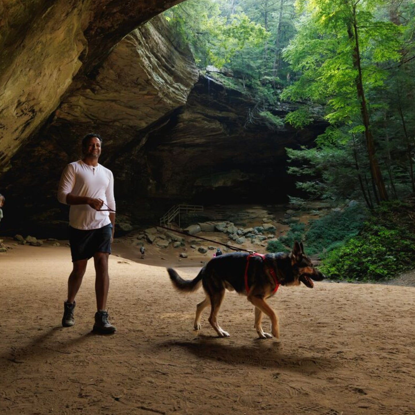 Front Range Dog Harness | Red Canyon