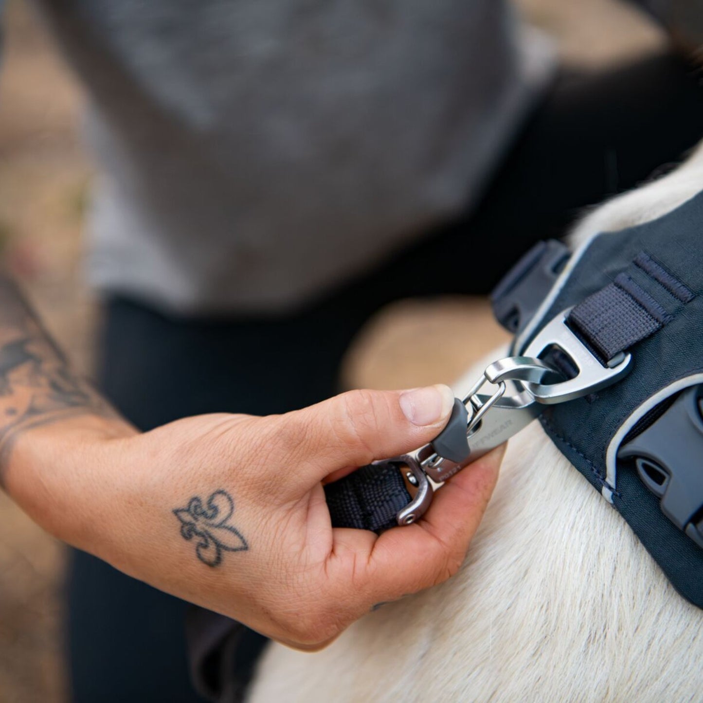 Front Range Dog Lead | Basalt Grey