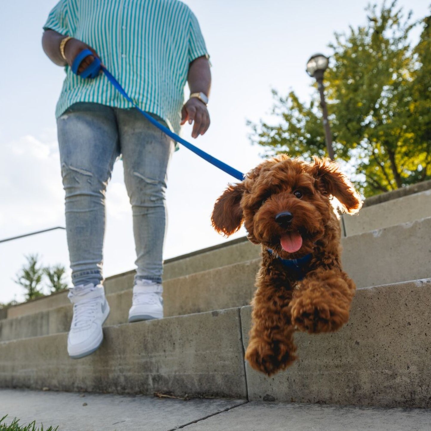 Front Range Dog Lead | Blue Pool