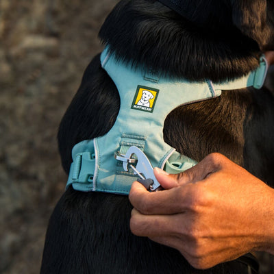 Front Range Dog Lead | River Rock Green