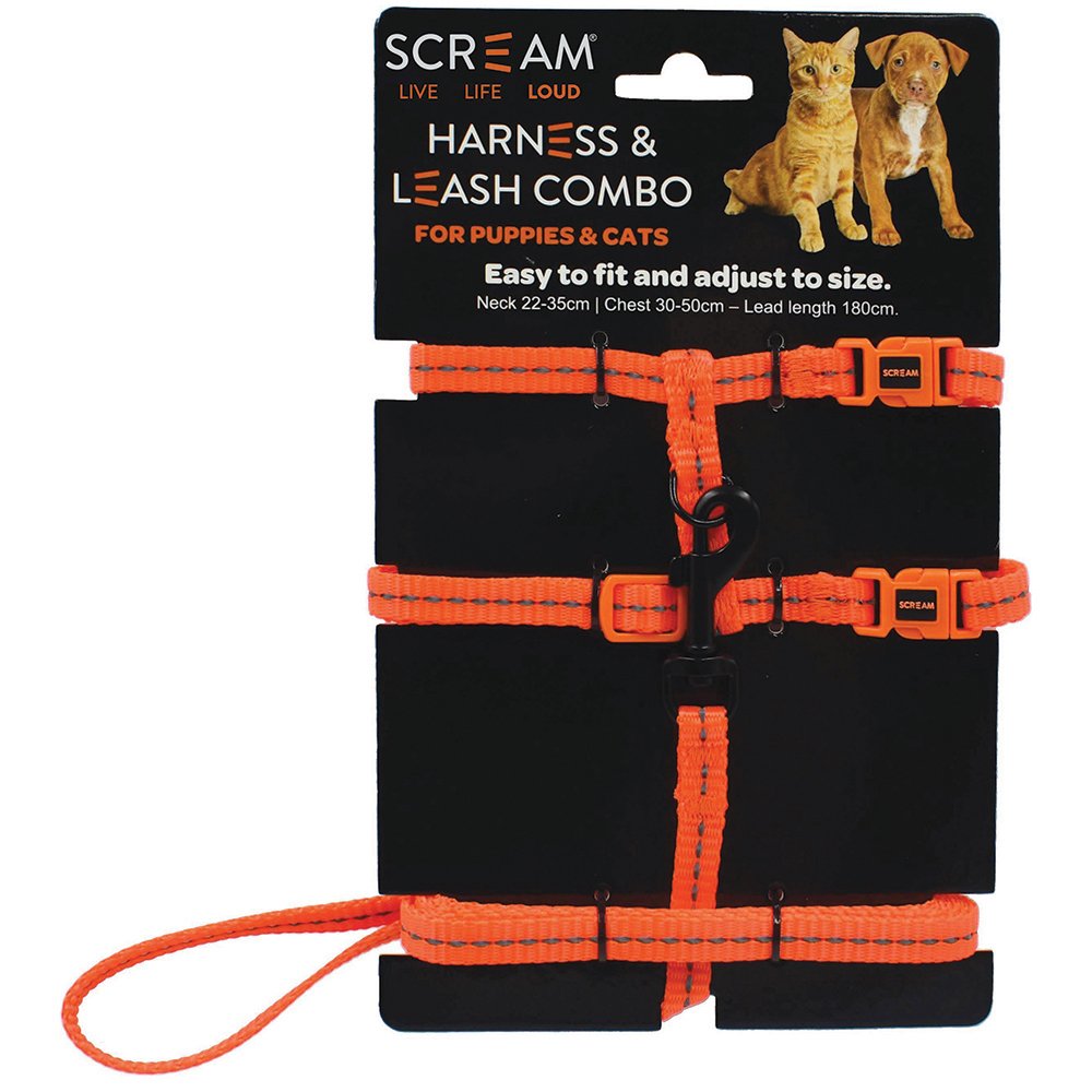 Cat & Puppy Harness & Leash Combo - Peticular