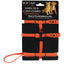 Cat & Puppy Harness & Leash Combo - Peticular