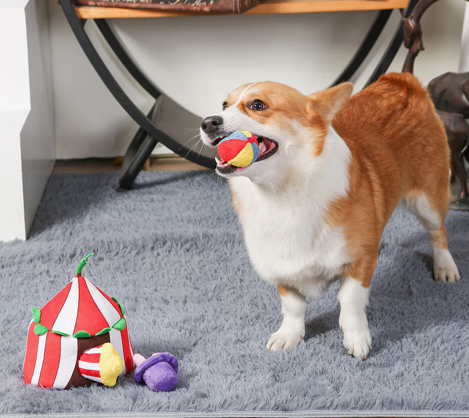 HugSmart PuzzleHunter | Circus Tent