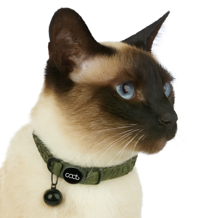 CAAT- Cat collar Neo Sport Green - Peticular