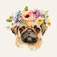 Soul Dog Family | Separation Anxiety Calming Flower Essence Blend Drops