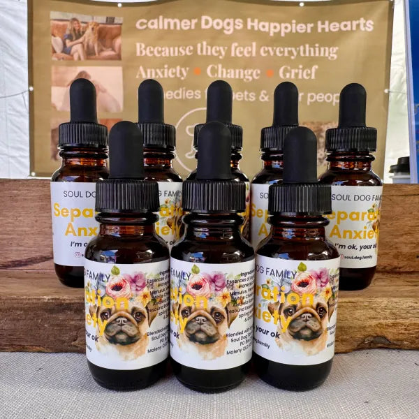 Soul Dog Family | Separation Anxiety Calming Flower Essence Blend Drops